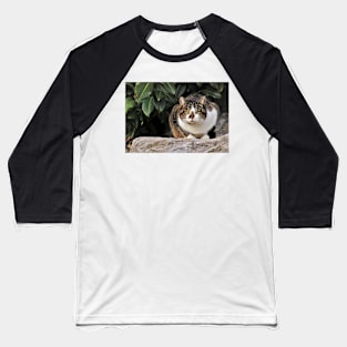 Bored Cat Baseball T-Shirt